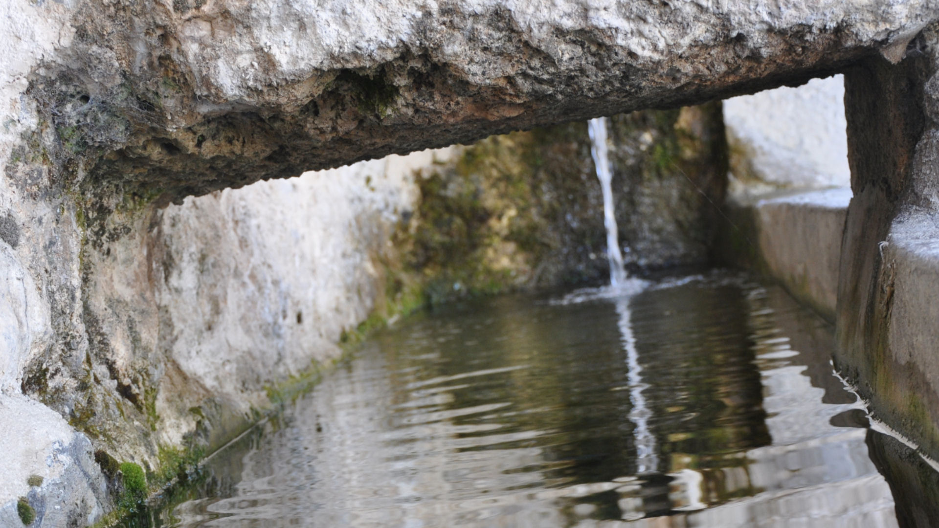 Cabbia piazza innevata
