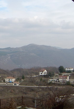 Contrade