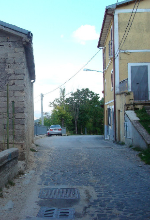 Contrade