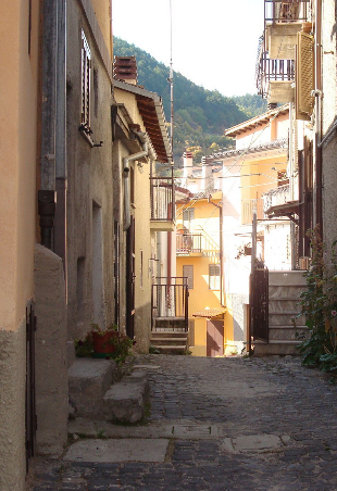 Contrade
