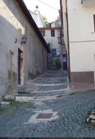 Contrade