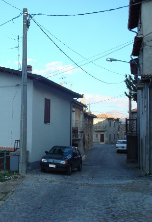 Contrade